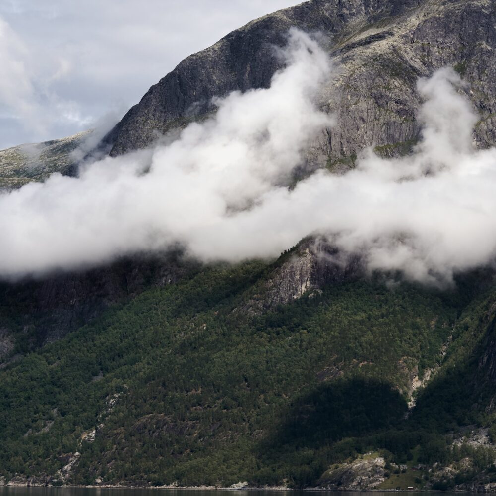fjordutsikt fjordutsikt