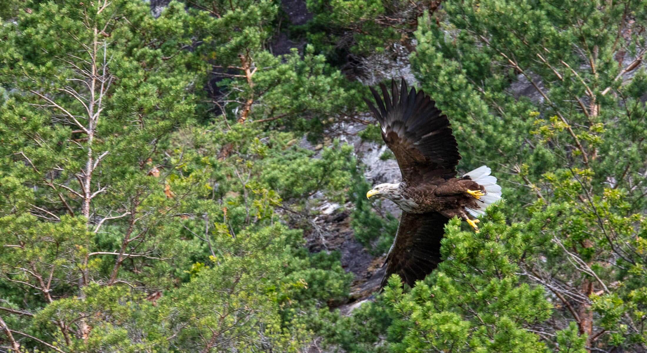 hardangefjord-adventure-5 hardangefjord-adventure-5