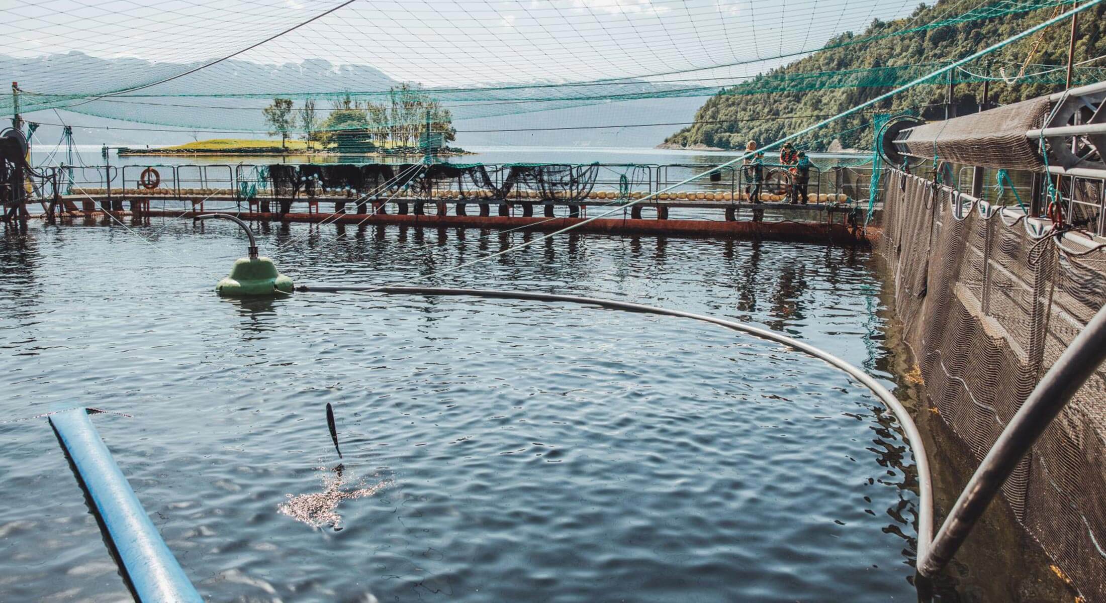 hardanger-akvasenter-2 hardanger-akvasenter-2